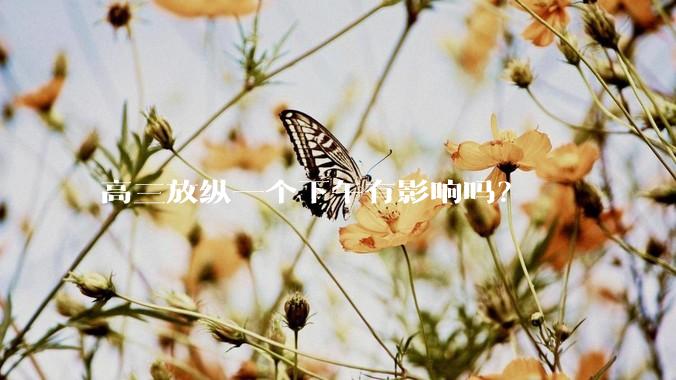 高三放纵一个下午有影响吗？